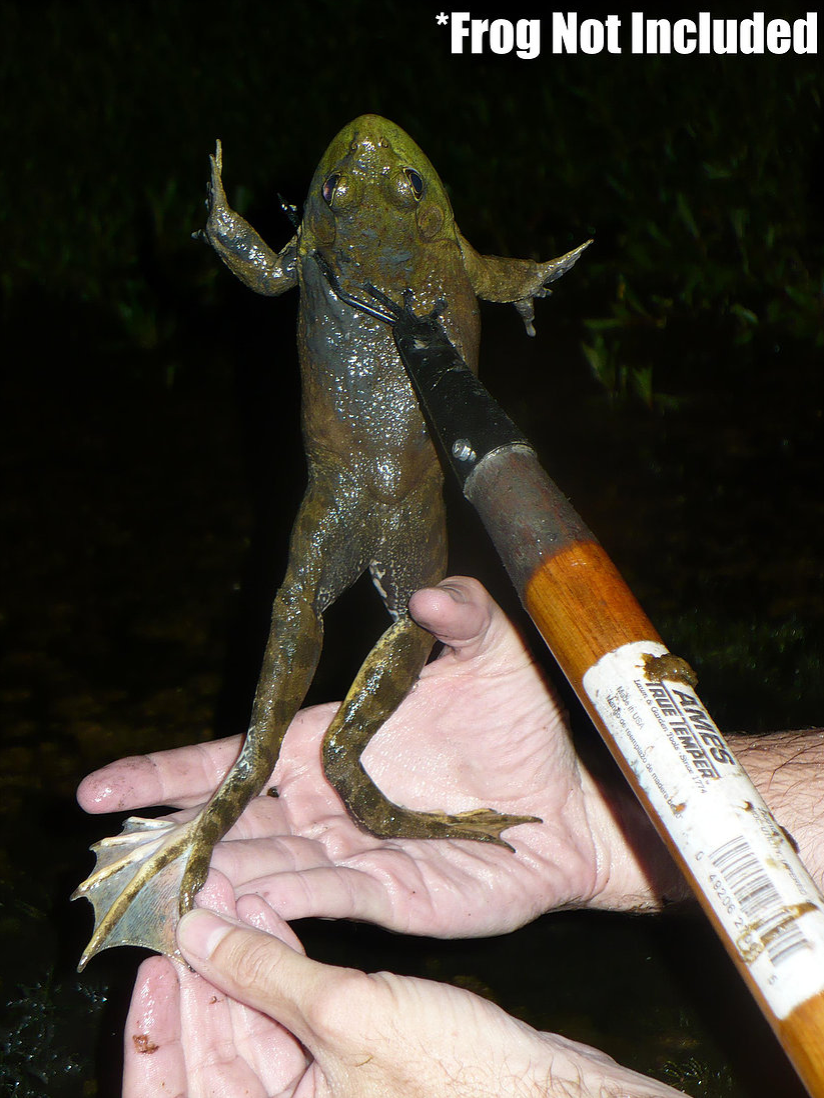 KG Frog/Fish Gig – Kendall Gray