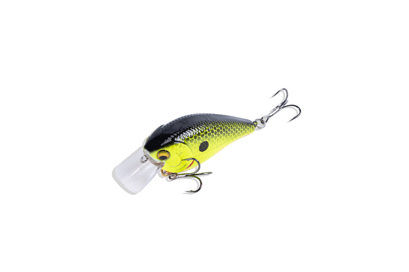 KG's Ultimate Fishing Bundle - Loaded w/ Gear. – Kendall Gray