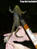 KG Frog/Fish Gig